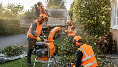 Cambridge, MA tree crew removing overgrown shrubs for a clean, safe landscape