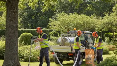 Cambridge, MA arborist fertilizing trees for healthier growth and stronger root support