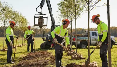 Tree planting service in Cambridge, MA for Cambridge Tree Removal with installed young trees