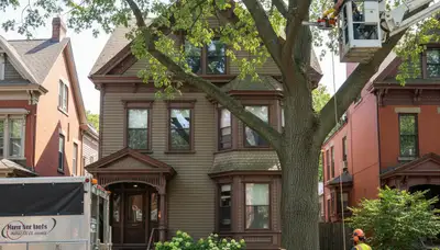 Tree service crew removing a tree in Cambridge, MA for safe residential property clearance